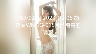 [HD/0.8G] 2023-02-06 微密圈WNOG-015黑丝销售的诱惑