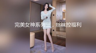 完美女神系列三，丝袜控福利