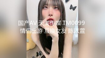 国产AV 天美传媒 TM0099 情侣出游 互换女友 陈以萱