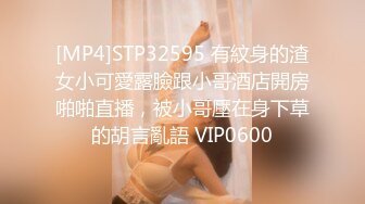 【soe567】【sex8.cc】SOE-586 A 秘密搜查官的女人被虐的巨乳代理 蒼井空