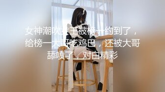 少女诱惑计划-游戏篇