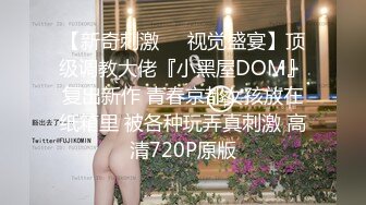 猎奇最美TS人妖系列34