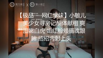 国产麻豆AV 麻豆US LAX0011 骚女仆的榨精工作 Sophia