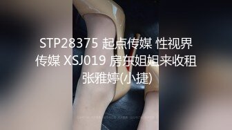 STP28375 起点传媒 性视界传媒 XSJ019 房东姐姐来收租 张雅婷(小捷)