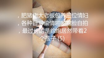 后入操骚逼