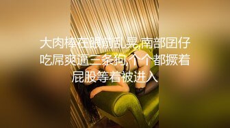 [MP4/ 1G]&nbsp;&nbsp;约JK裙装漂亮小美女做爱，没穿内裤伸手就可以揉捏感受，情欲沸腾，换上情趣围裙好身材温顺配合抽插呻吟