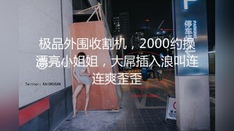 极品外围收割机，2000约操漂亮小姐姐，大屌插入浪叫连连爽歪歪