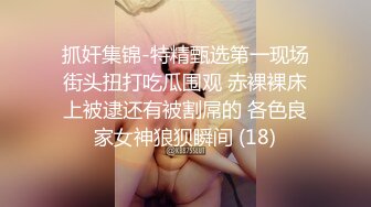 亚洲爆乳无码精品一区二区三区