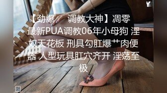 [MP4]星空传媒 XK8103 同学聚会之丑小鸭的复仇 开档丝黑尤物3P大战老同学