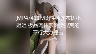 麻豆传媒 msd-0067 千总出狱後的复仇-袁子仪