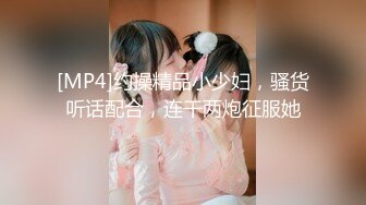 【AI换脸视频】李一桐 与圣诞女郎的激情性爱 无码