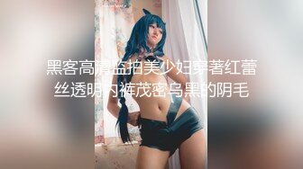 良家女教师2