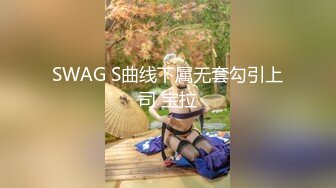 SWAG 淫荡小母狗用後入的姿势把按摩棒插到底 Lawrenceyy