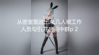 小彩虹的大长鸟