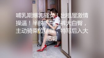 国产麻豆AV 麻豆番外 性爱番外篇 突袭女优计划 EP2 肉棒突击队强制要求与主持人发生性爱 艾秋