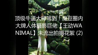 《 出租女友 阻隔女友过大年》