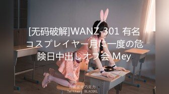 [无码破解]WANZ-301 有名コスプレイヤー月に一度の危険日中出しオフ会 Mey