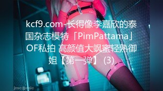 【PANS模特大尺度】本期很顶英英 无内网袜特写小穴，第一视角现场拍摄视频记录！ (2)