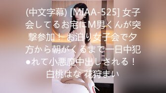 MDX-241-01岳母强上空虚女婿-苏语棠