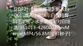 ⚫️⚫️⚫️你的女神有钱人的母狗！推特富二代【上海大少爷】订阅性爱私拍，约炮各行各业极品露脸母狗，人生赢家  新帖标志 (4)