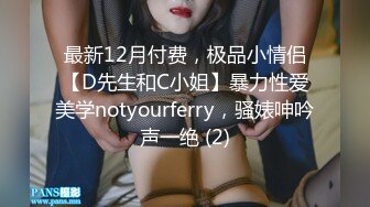 最新12月付费，极品小情侣【D先生和C小姐】暴力性爱美学notyourferry，骚婊呻吟声一绝 (2)