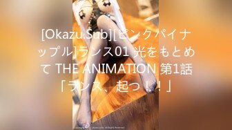 [Okazu.Sub][ピンクパイナップル]ランス01 光をもとめて THE ANIMATION 第1話「ランス、起つ！！」