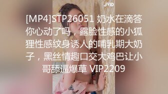 骚气逼人✿张美人✿合集，喜欢被后入的骚母狗【100v】 (52)